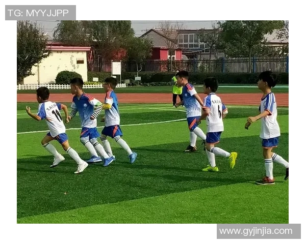 国内足球少年成长之路：从校园到职业的梦想与挑战